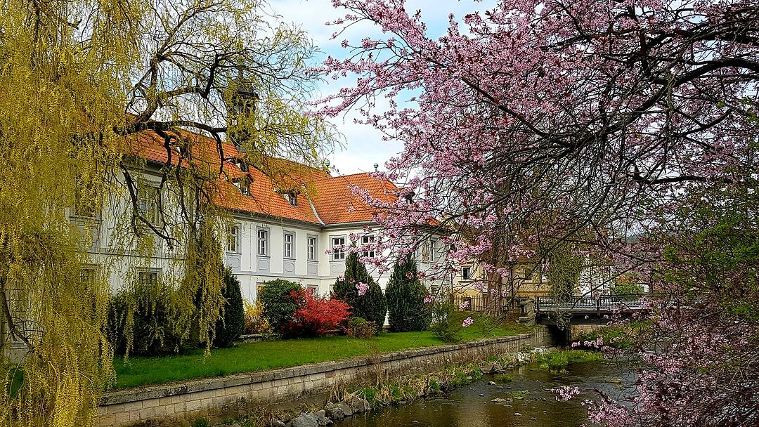 Die schönsten Frühlingsfotos aus Kronach und Umgebung