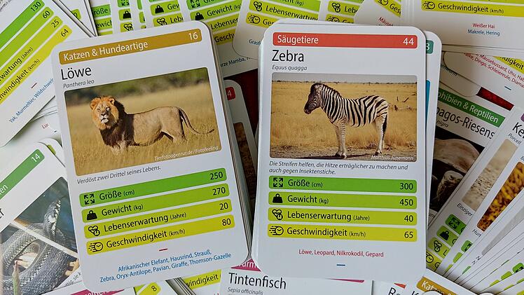 Tiere toppen im Test - geniales Kartenspiel rund um Tierfakten