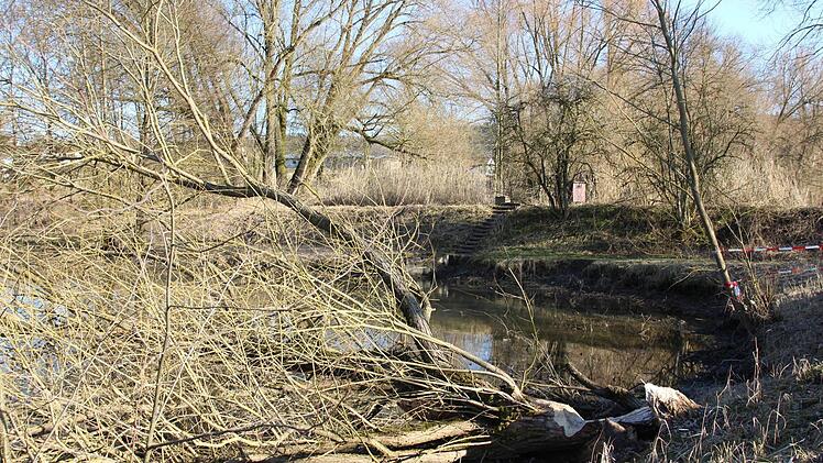 Im Hintergrund der Damm zwischen unterem und mittlerem Teich.