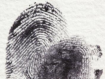 Fingerabdruck