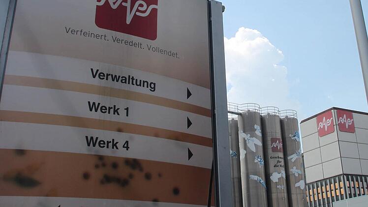 Der frühere Belgien-Chef des Kulmbacher Gewürzherstellers Raps steht in Hof wegen Veruntreuung von 1,75 Millionen Euro Firmengelder vor Gericht. Foto: Stephan Tiroch