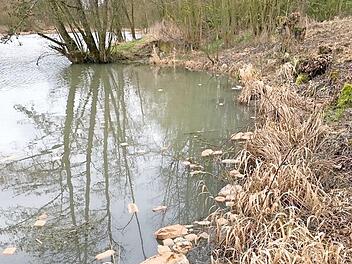 Unbekannte haben am Ufer des Ketschendorfer R&uuml;ckhaltebeckens ein Chaos hinterlassen: Verdorbene Brote, Br&ouml;tchen und deren Verpackungst&uuml;ten treiben an der Oberfl&auml;che.  Foto: Sven D&ouml;rr