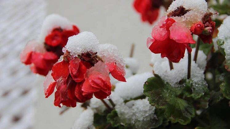 Winter in Münnerstadt. Foto: Heike Beudert.
