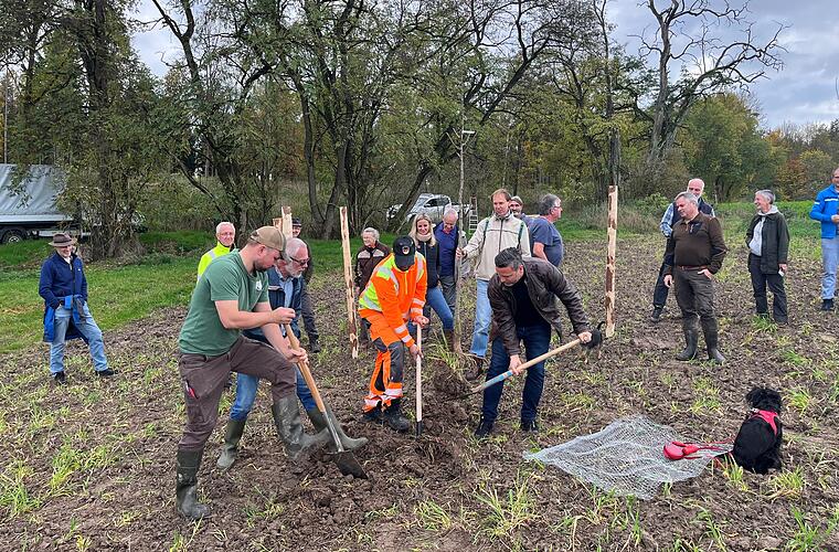 Ahorn: "Naturschutz-Hot-Spot« angelegt - biologische Vielfalt