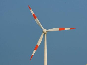 Foto: Symbolfoto Patrick Pleul dpa