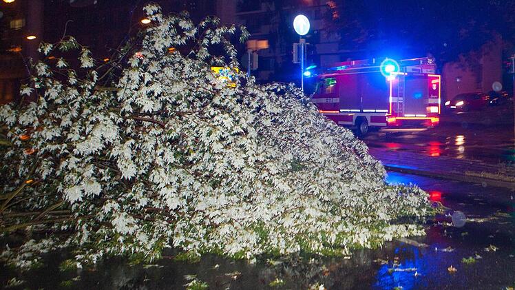 Rathenauplatz. Foto: News5 / Grundmann