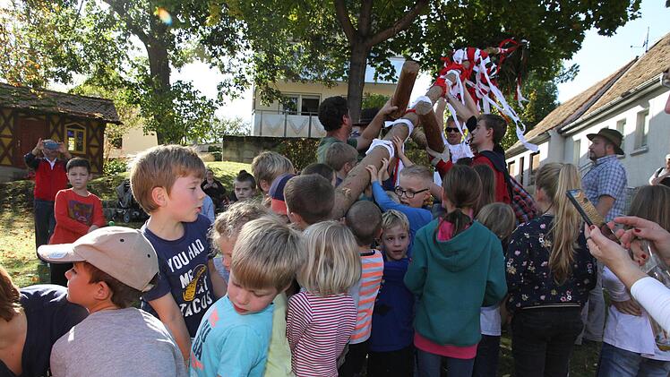 50 Kinder beteiligten sich beim Aufstellen des Kinderkirchweihbaumes, der stolze 17 Meter misst. Fotos: Mathias Erlwein