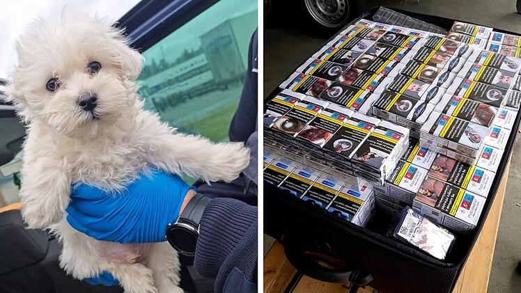 Schmuggelware: Zollamt N&uuml;rnberg stellt Jahresbilanz f&uuml;r 2022 vor