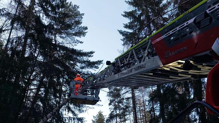 Im Thurnauer Oberland war ein Baum auf eine Leitung gestürzt. Die Wehr war mit der Drehleiter im Einsatz.