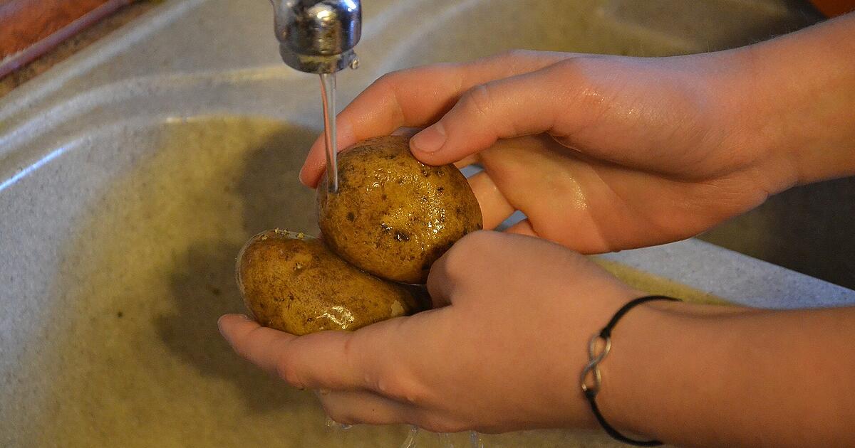 Keimende Kartoffel kann man sie noch essen?