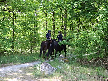 Baumarkt-Überfall im Kreis Nürnberger Land