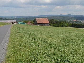 Dieser Lagerplatz zwischen Seelach und Gehülz soll nach dem Willen der Stadt Kronach zurückgebaut werden. Das wurde schon im vergangenen Jahr beschlossen. Jetzt ist die Aufsichtsbehörde Landratsamt Kronach gefragt.  Foto: K.- H. Hofmann