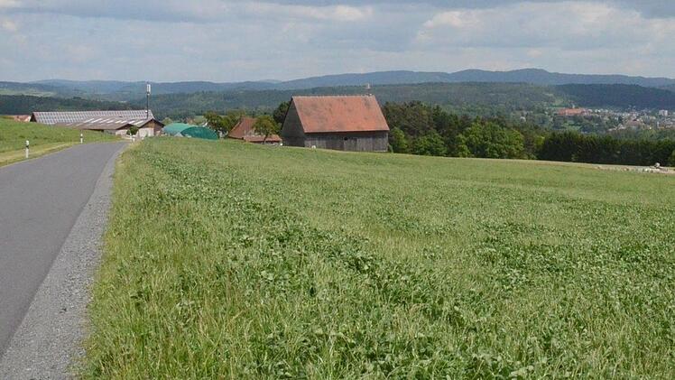 Dieser Lagerplatz zwischen Seelach und Gehülz soll nach dem Willen der Stadt Kronach zurückgebaut werden. Das wurde schon im vergangenen Jahr beschlossen. Jetzt ist die Aufsichtsbehörde Landratsamt Kronach gefragt.  Foto: K.- H. Hofmann