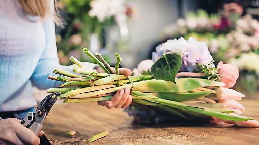 Nonstop Blumen binden: Viele Floristinnen haben eine Sechs-Tage-Woche und wenig Urlaub. Die Floristen-Gewerkschaft IG BAU Mainfranken will das jetzt &auml;ndern.
