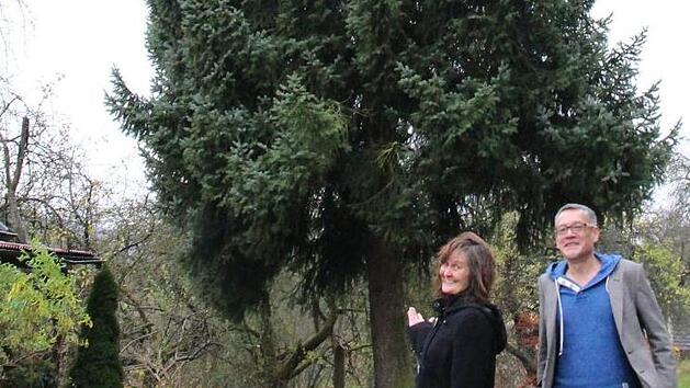 Maria G&ouml;th und Mario Wolf  pr&auml;sentieren "ihren" Weihnachtsbaum und freuen sich, dass der Baum nicht einfach nur gef&auml;llt wird, sondern noch ein paar Wochen bewundert wird.Ulrike Nauer