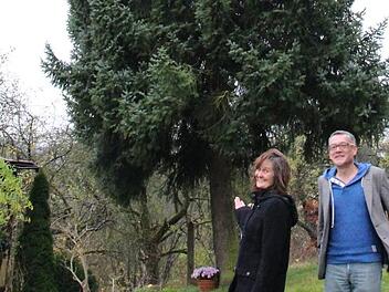 Maria Göth und Mario Wolf  präsentieren "ihren" Weihnachtsbaum und freuen sich, dass der Baum nicht einfach nur gefällt wird, sondern noch ein paar Wochen bewundert wird.Ulrike Nauer