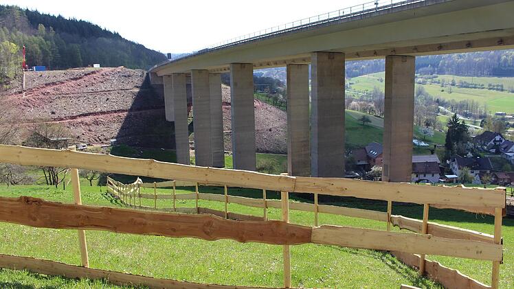 Rund um die Talbrücke Römershag muss der Bewuchs weichen. Dort soll eine neue Brücke gebaut werden. Direkt darunter isind Weiden und ein Wohngebiet. Foto: Julia Raab