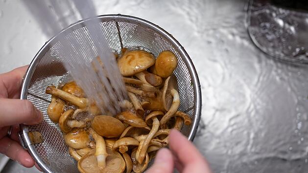 Pilze mit Wasser waschen