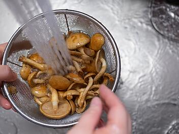 Pilze mit Wasser waschen