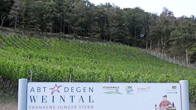 Eine Wasserleitung zur Bew&auml;sserung der Weinberge soll in Sand gebaut werden. Der Gemeinderat behandelte das Thema.  Foto: Christian Licha