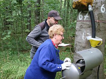 Wie viel Regenwasser läuft an einem Stamm hinunter? Das wird mit diesem speziellen Apparat gemessen. Hier kontrollieren Maria Rüttiger und Michael Schneider das Ergebnis.  Foto: Kathrin Kupka-Hahn