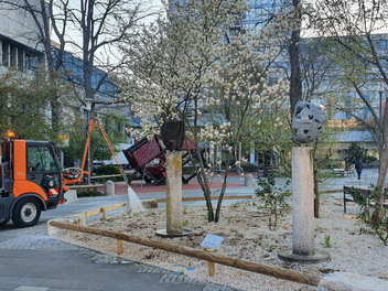 Erlangen: Stadt verteidigt neue Beete am Rathausplatz - "nein, das ist kein Schottergarten"