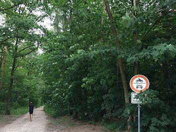 Der geplante Standort am Tor zum Hauptsmoorwald sorgt für Kontroversen. Foto: Stefan Fößel