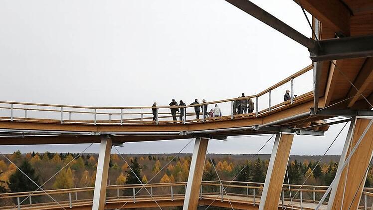 Die "Erstbesteiger" des Aussichtsturms sind ganz oben in luftigen 40 Metern angekommen. Fotos: Matthias Hoch