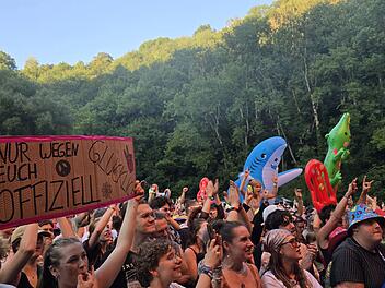 Das Taubertal Festival 2025: Mit Hilltop Hoods, IPrevail, 01099, Madsen, Irie Révoltés und vielen weiteren
