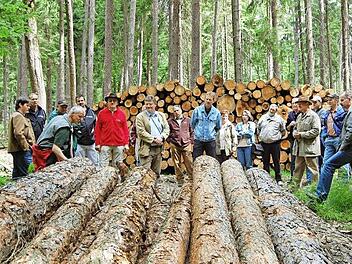 Der Wald, hier ein Bild von einer früheren Begehung, bleibt eine wichtige Einnahmequelle. Foto: Günther Straub (Archiv)