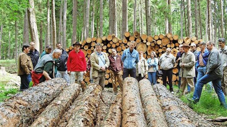 Der Wald, hier ein Bild von einer früheren Begehung, bleibt eine wichtige Einnahmequelle. Foto: Günther Straub (Archiv)