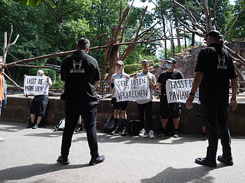 Affen-Protest im Nürnberger Zoo : Aktivisten ketten sich an