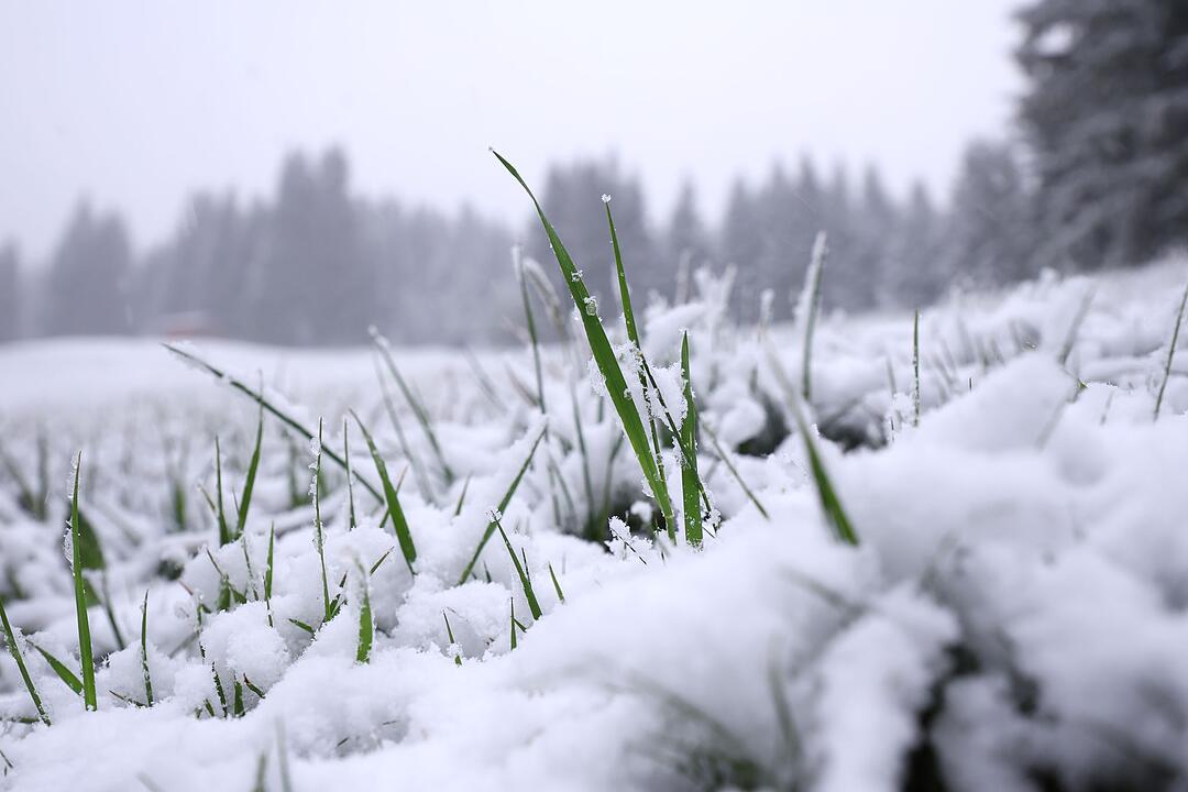 Schneefall in den h&ouml;heren Lagen Bayerns