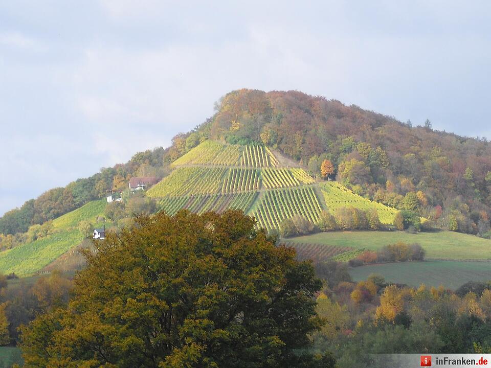 ABO Plus Bus-Wander-Tour Handthal_29.10.2016