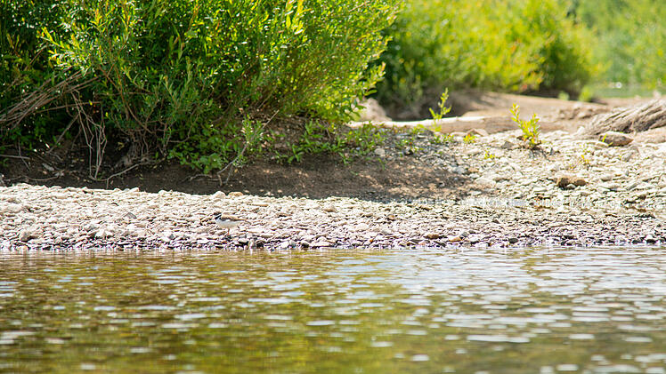 Kreis Bamberg und Lichtenfels: Niedrigwasser am Obermain - wo Kanuten noch fahren können