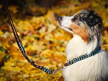 Ein Modell aus der Serie "Parcord meets Leder".Laura Schramm