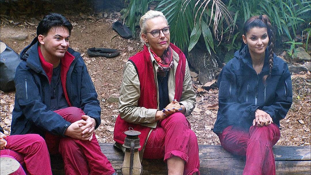 Dschungelcamp 2018: Matthias Mangiapane bekommt im Camp einen Heiratsantrag