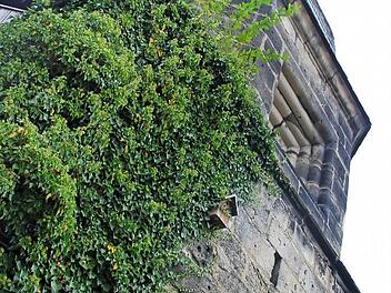 Der Lehlauben- oder Hexenturm ist ein Zeuge des Unrechts inmitten der Oberen Stadt. Dort wurden in Kronach Menschen ins Verlies geworfen, die der Hexerei bezichtigt waren. Foto: Marco Meißner