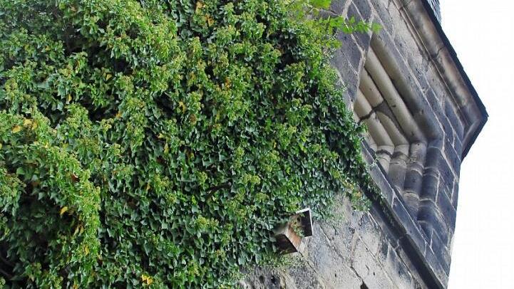 Der Lehlauben- oder Hexenturm ist ein Zeuge des Unrechts inmitten der Oberen Stadt. Dort wurden in Kronach Menschen ins Verlies geworfen, die der Hexerei bezichtigt waren. Foto: Marco Meißner
