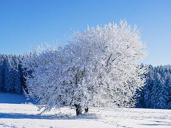 Kommt der große Schnee?