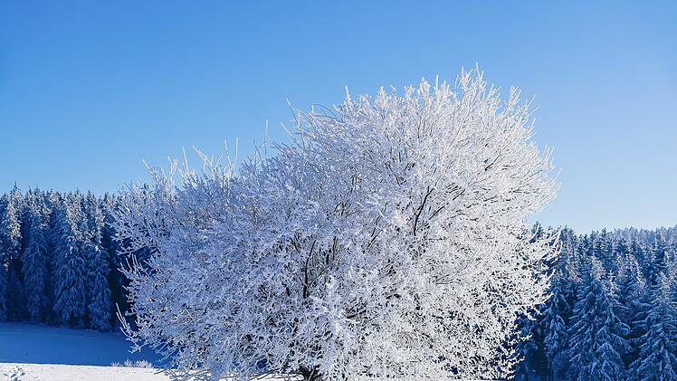 Kommt der große Schnee?