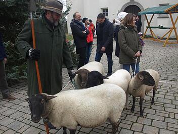 Martin Steuerwald zog mit Rhönschafen über den Markt.  Foto: Stefan Geiger