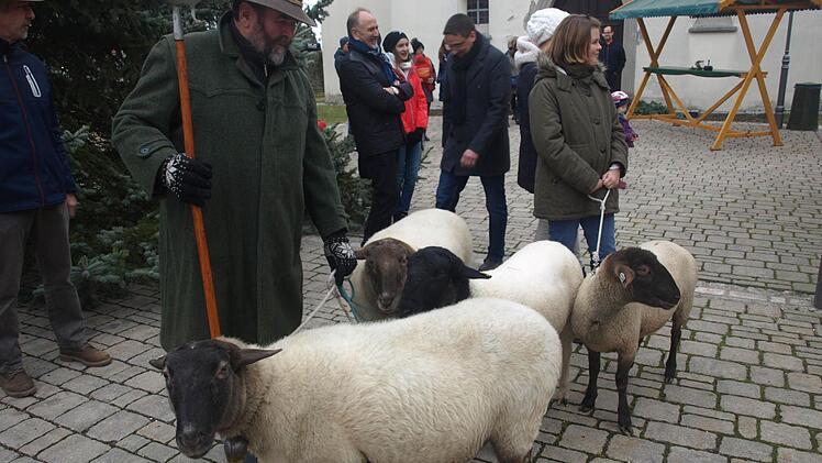 Martin Steuerwald zog mit Rhönschafen über den Markt.  Foto: Stefan Geiger
