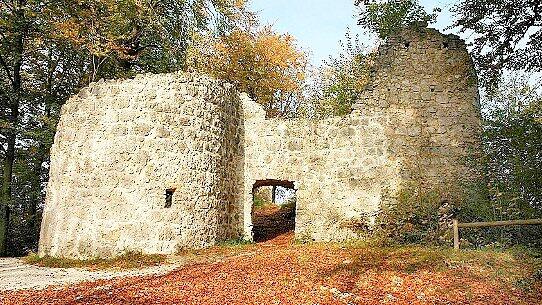 Burgruine Leienfels.