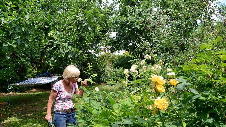 Anita Göller in ihrem Gartenparadies. Rosen sind schon immer ihr Leidenschaft gewesen. Fotos: Andrea Spörlerrin