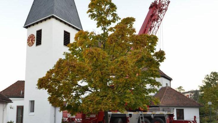 Kupferkugel und Wetterhahn - jeweils frisch vergoldet - werden montiert.  Foto: Alexander Rosenmeyer