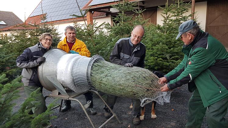 Selbst Kunde Bernhard Bachmann (Zweiter von links) packt mit an: Michaela, Jochen und Senior Helmut Horn verpacken einen Baum reisefertig im Netz. Fotos: Eckehard Kiesewetter