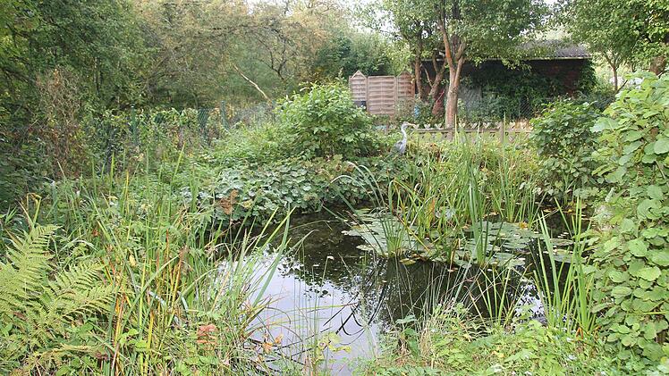 Das Biotop ist für alle Gartenfreunde da.