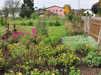 Die teilweise nicht mehr genutzten Gartengrundstücke an der Dampfacher Straße in Horhausen möchte die Gemeinde Theres gerne zu Bauland umwandeln. Fotos: Ulrike Langer
