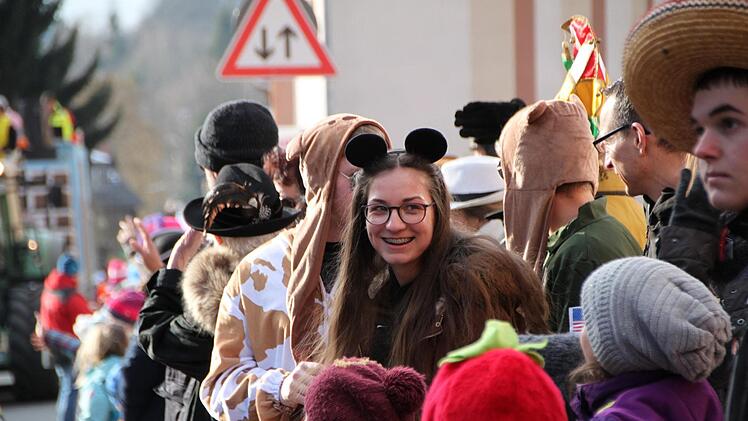 Faschingszug Bad Brückenau 2018 Foto: Ulrike Müller